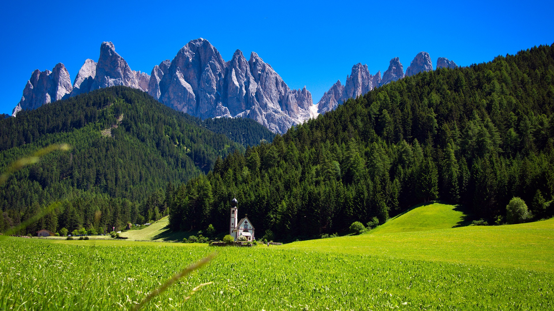 turismo naturalistico in collina con struttura in legno