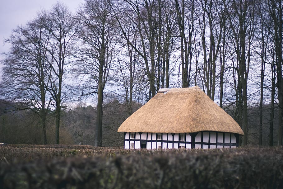 st fagan's park cardiff wales